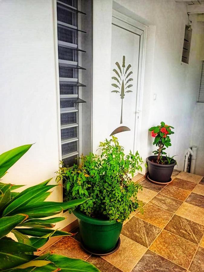 Le Balisier Apartment Saint-Francois  Exterior photo